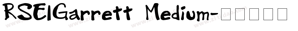 RSElGarrett Medium字体转换